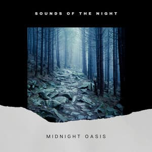 Midnight Oasis: Owls, Crickets and Night Animals - Sounds of the Night