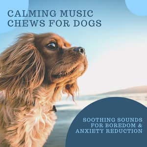 Calming Music Chews for Dogs - Soothing Sounds for Boredom & Anxiety Reduction - Dog Bedtime