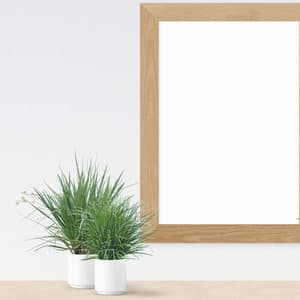 Jazz Organ - Background Music for Happy Sundays - Rilassante Jazz Musica Ambiente