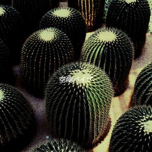 空港バイブ - Lunch Time Music