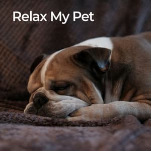 Relax My Pet - Pet Music Doctor