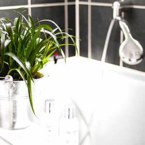 Music for Peak Clarity - Spa Music Playlist