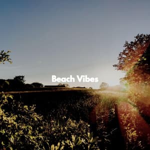 Beach Vibes - Dinner Music