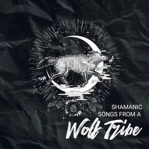 Shamanic Songs from a Wolf Tribe - Jonathan Mantras