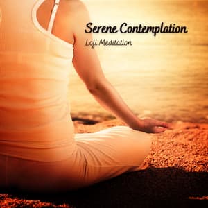 Serene Contemplation: Lofi Meditation - Lofiwaala