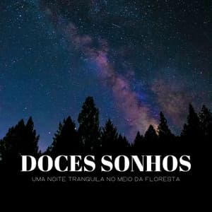 Doces Sonhos: Uma Noite Tranquila No Meio Da Floresta - Lluvia Para Dormir Mejor