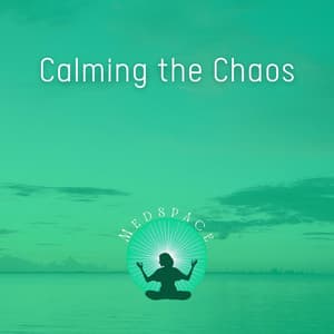 Calming the Chaos - Sunset Sound Bath, Aligning Your Energies, Harmonious and Balanced Evening - Medspace