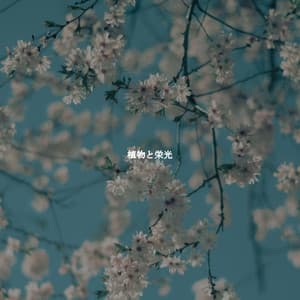 植物と栄光 - Musica Rilassante & Benessere