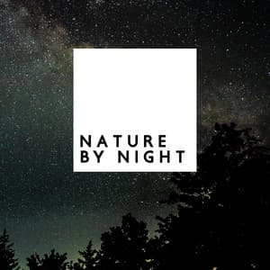 Nature by Night - Relaxing Music, Spiritual Music, Guided Meditation - Healing Meditation Zone
