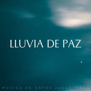 Lluvia De Paz: Música De Gatos Juguetones - El poder de la lluvia