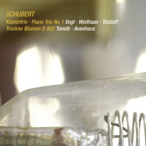 Schubert: Piano Trio No. 1 in B-Flat Major, D. 898; Introduction and Variations, D. 802 - Franz Schubert