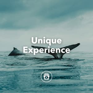 Unique Experience - Rain Sounds & Nature Sounds