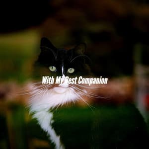 With My Best Companion - Ontspannende Muziek