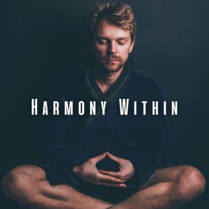 Harmony Within: Music for Meditation Oasis - Enlightened Spirits