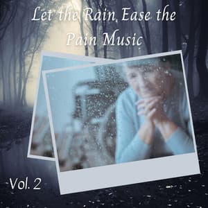 Let the Rain Ease the Pain Music Vol. 2 - Rain and Chill