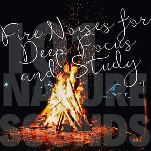 Fire Noises for Deep Focus and Study - 101 Nature Sounds