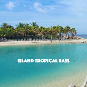 Island Tropical Bass - Bar Lounge