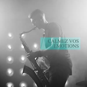 Calmez vos émotions avec délicatesse onctueuse et séance de jazz relaxant - Jazz douce musique d'ambiance