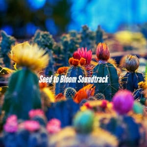 Seed to Bloom Soundtrack - Música de Trabajo