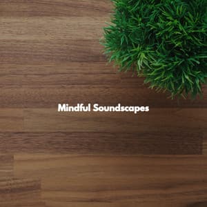 Mindful Soundscapes - Quiet Jazz & Coffee