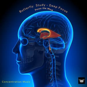 Concentration Music - Butterfly Study – Deep Focus
