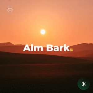 The Flow of Existence - Big Ordo