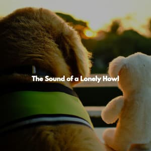The Sound of a Lonely Howl - Sensual Jazz Trio