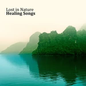 Lost in Nature: Healing Songs, Discover, Meditation, Relax, Natural Sounds - Yoga Meditation Guru