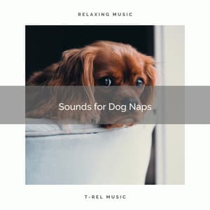 Sounds for Dog Naps - Dog's Music
