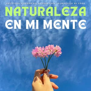 Naturaleza En Mi Mente: Pacíficos Sonidos Del Bosque Para Tu Práctica De Yoga - El Ruido Blanco