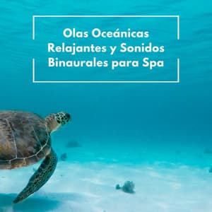 Olas Oceánicas Relajantes Y Sonidos Binaurales Para Spa - Relaxing Zen Spa