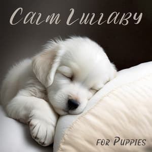 Calm Lullaby for Puppies: Nature Sounds for Puppy Sleep - Calm Pets Music Academy