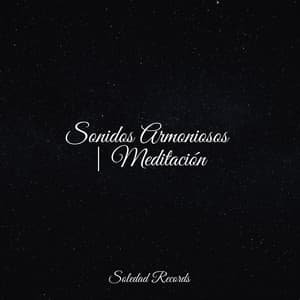 Sonidos Armoniosos | Meditación - Academia de Música con Sonidos de la Naturaleza