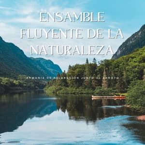 Ensamble Fluyente De La Naturaleza: Armonía De Relaxación Junto Al Arroyo - Música Ambiente