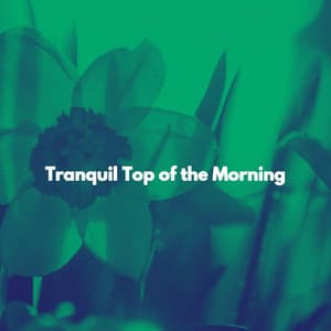 Tranquil Top of the Morning - Cafe Music