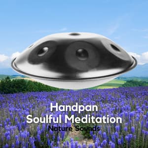 Handpan, Soulful Meditation - Relaxing Hang Drum Nature