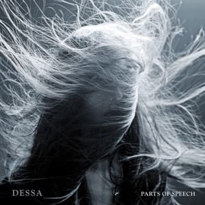 Parts of Speech - Dessa