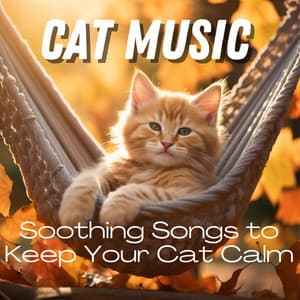 CAT MUSIC - Soothing Songs to Keep Your Cat Calm - Relax My Cat
