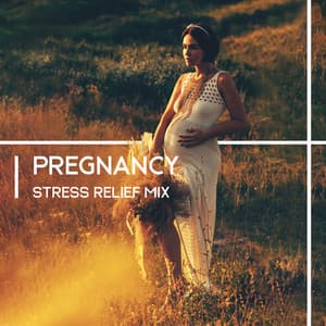 Pregnancy Stress Relief Mix: Pregnancy Yoga, Meditation & Relax, Calming Music for Pregnant - Pregnancy Academy