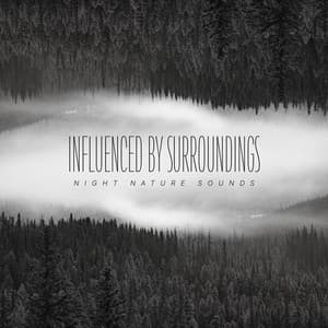 Influenced By Surroundings - Night Nature Sounds