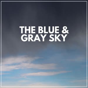 The Blue & Gray Sky - Rainforest Sounds