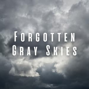 Forgotten Gray Skies - Heal Your Soul