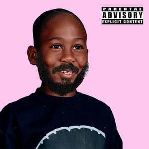 The Pink Album - Bucky Malone