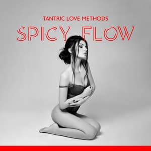 Tantric Love Methods: Spicy Flow Chill Mix & Sensual Kamasutra, Sexy Energy Zen Music, Ibiza Erotic Experience - Sex Music Zone