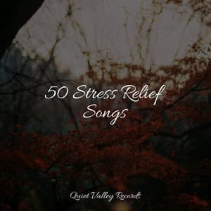 50 Stress Relief Songs - Dr. Meditation