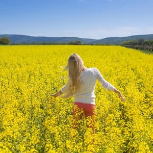 Celestial Soothe: Ambient Realms of Peace - Ethereal Notes