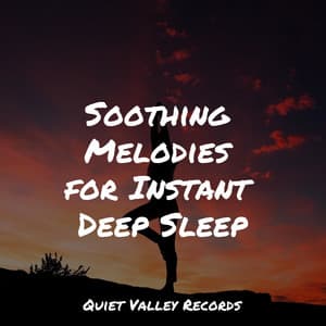 Soothing Melodies for Instant Deep Sleep - Nature Sounds for Concentration