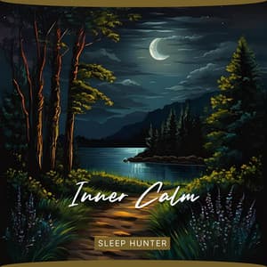 Inner Calm: Finding Sleep Through Yoga Movements - Sleep Hunter