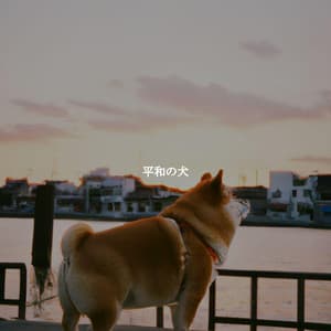 平和の犬 - Soft Jazz Lounge