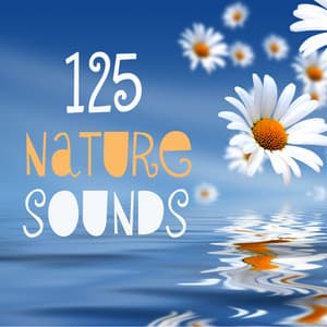 125 Nature Sounds - 125 Nature Sounds
